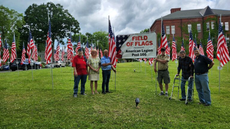 Field of Flags